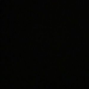 Meet your Posher, Ron